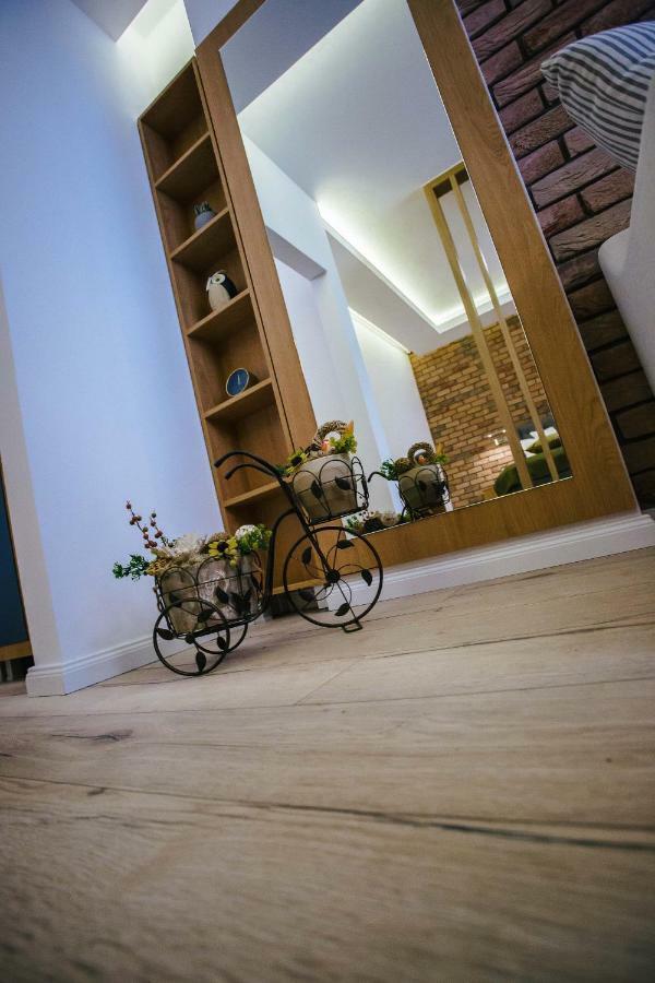 Briana Luxury Studio คลูจ-นาโปกา ภายนอก รูปภาพ